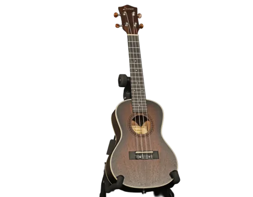 Fort worth library free instrument lending guitar