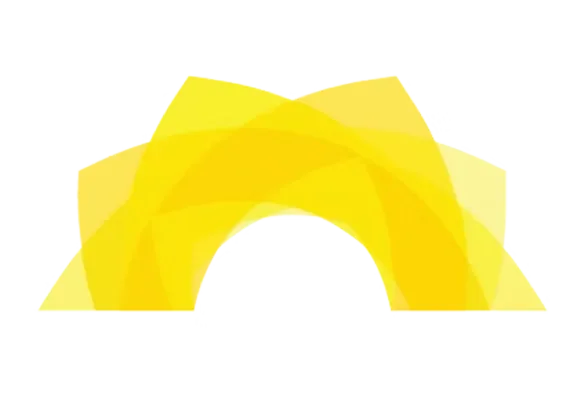 Lvt rise library logo
